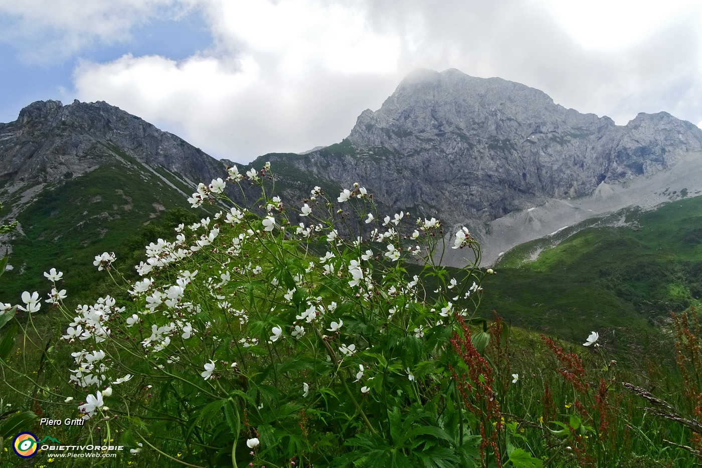 63 Ventilato e fresco al Passo Branchino.JPG -                                